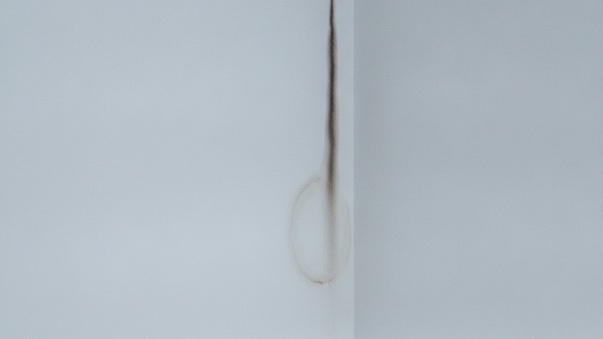 Water tracking down an interior wall from a failed detail above
